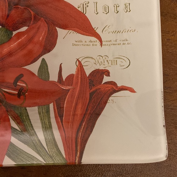 Small “Winter Botanical” Dish - Picture 7 of 8